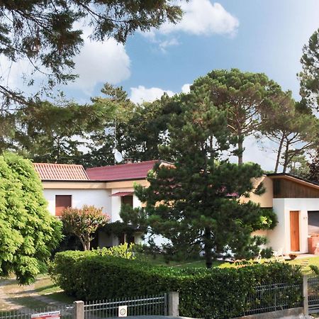 Villa Tre Pini 利尼亚诺萨比亚多罗 外观 照片